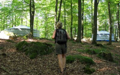 Bästa vägen till en stark och harmonisk vardag – Fem snabba effekter av skogsretreat