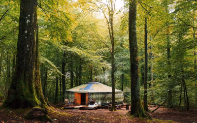 Glamping i Sverige – natur, närvaro och något alldeles extra