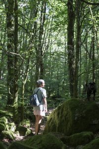 Vandringspaket i Skåne, bo på glampingen Nyrups Naturhotell